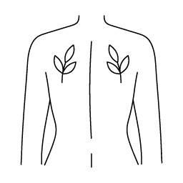 Line drawing art of a bottle with healing herbs in it.